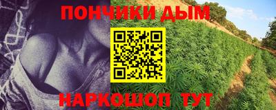 эйфоретик Малгобек